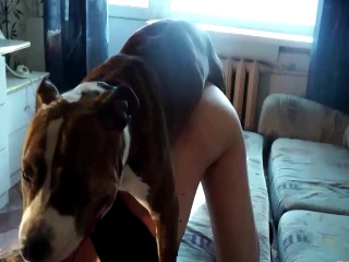Steamy night time video of dog licking sluts wet cunt