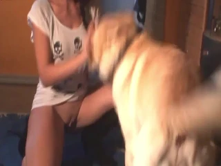 Un jeune bébé prend de la joie en suçant la bite de chien