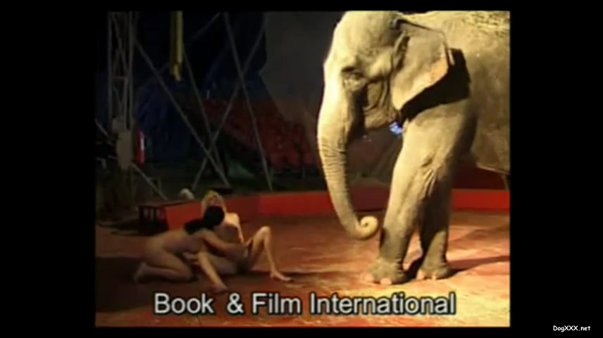 elephant sex 2