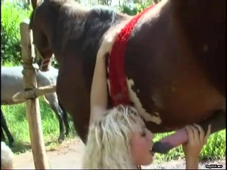 milly amorim horse porn cavalo engolindo porra 4