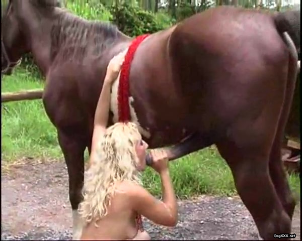 girl loves horse cum 2